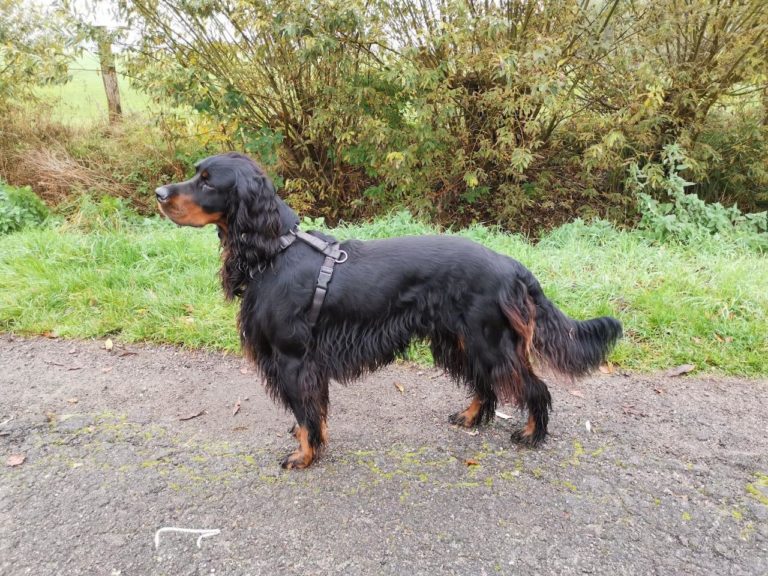 Artus von der Warbelsburg 1